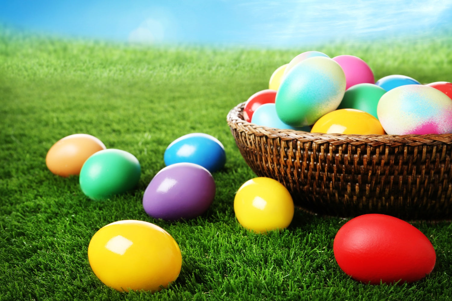 Easter Photo Backdrop Ideas Colorful Egg Basket Meadow Backdrop UK TWW3-29