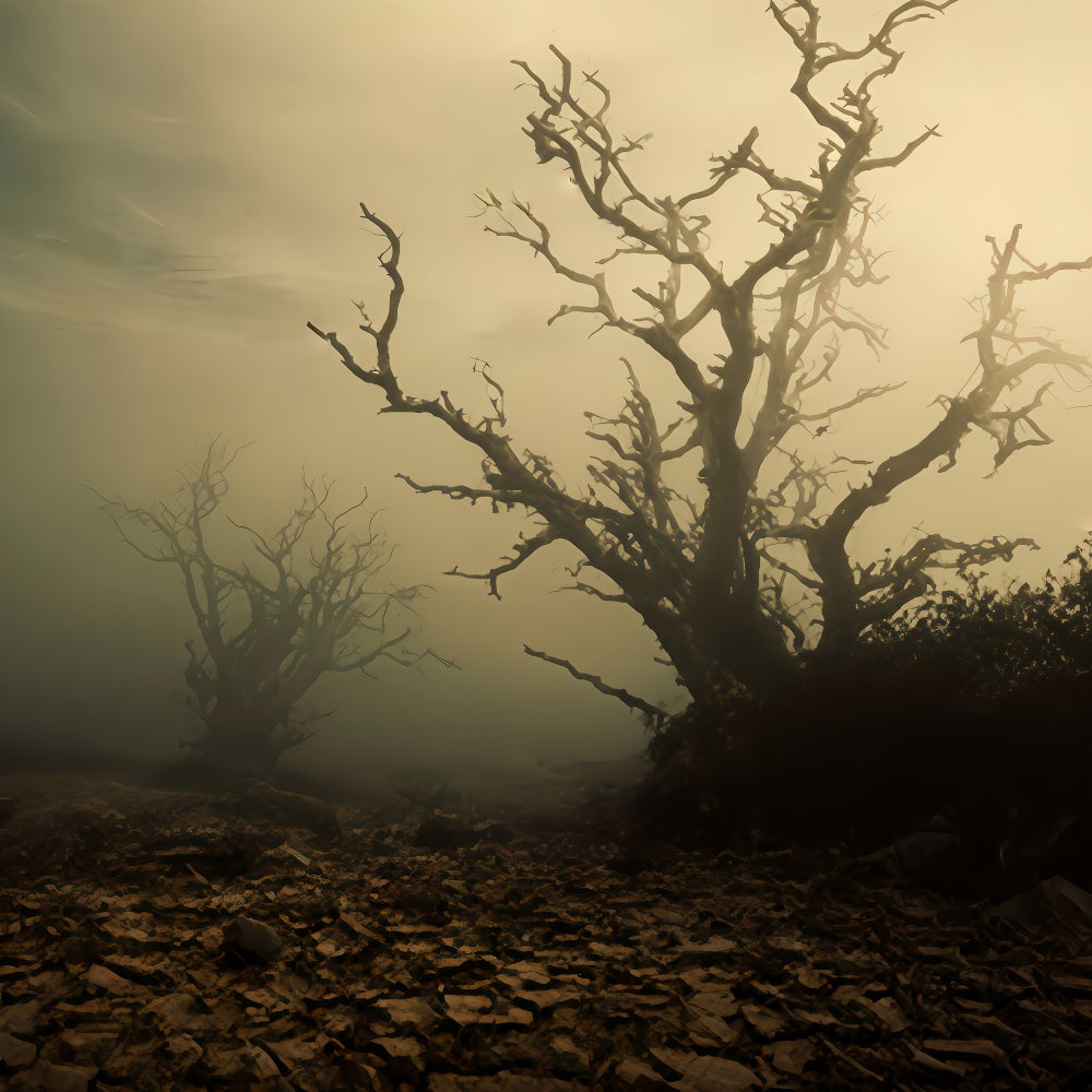 Haunted Forest Backdrop Foggy Dead Tree Field Halloween Backdrop UK TWW510-41