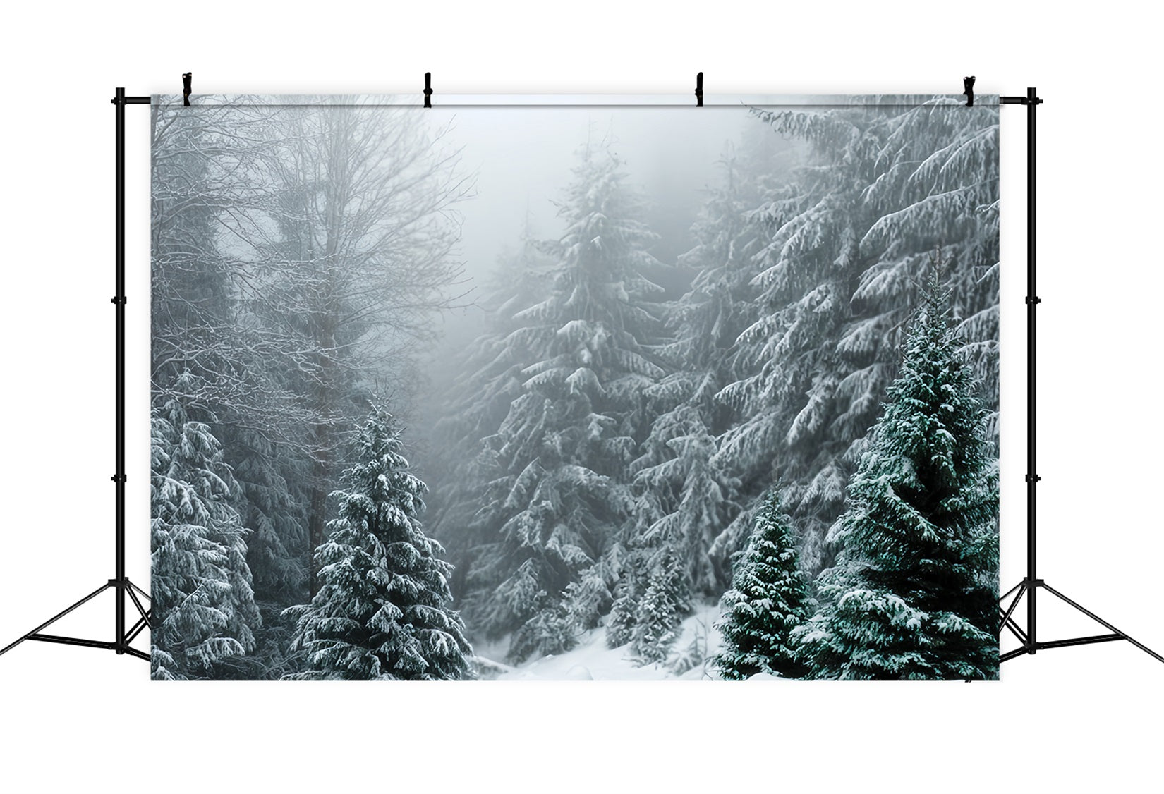 Winter Forest Backdrop Frosted Evergreen Silence Snow Forest Backdrop UK TWW59-134