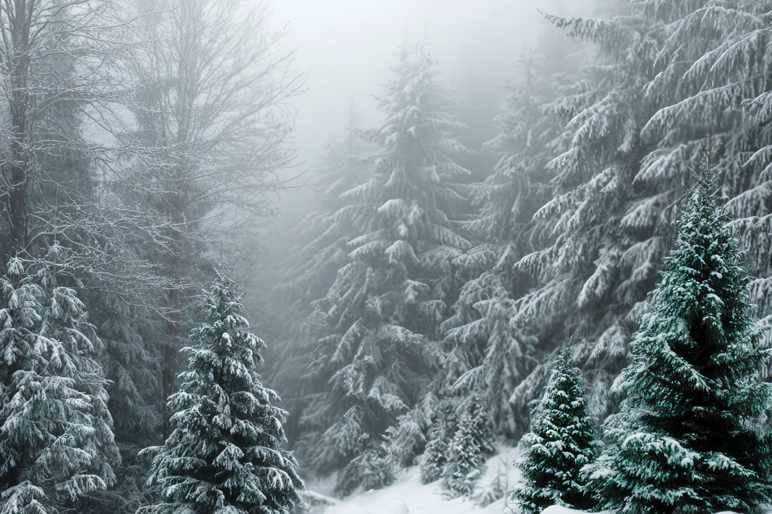 Winter Forest Backdrop Frosted Evergreen Silence Snow Forest Backdrop UK TWW59-134