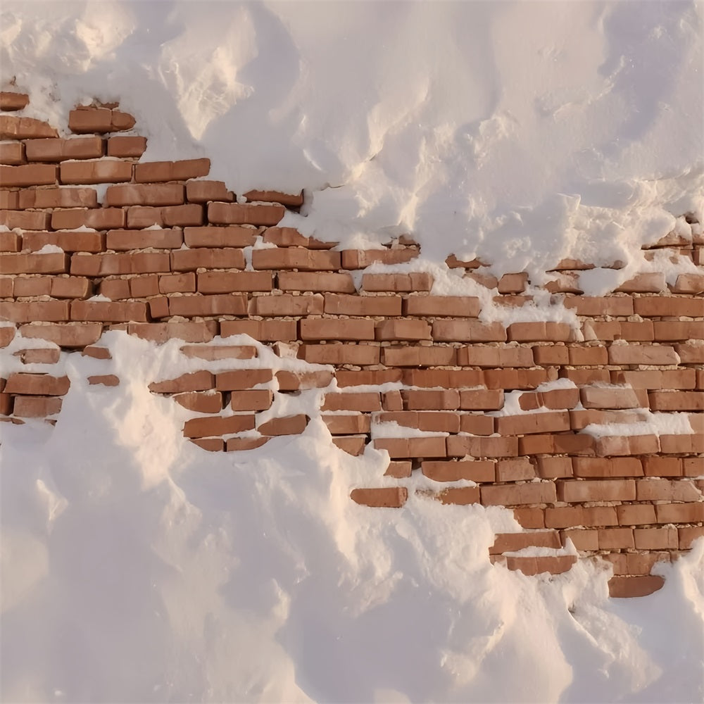 Brick Wall Backdrop Snow Covered Rustic Wall Brick Backdrop UK TWW59-160