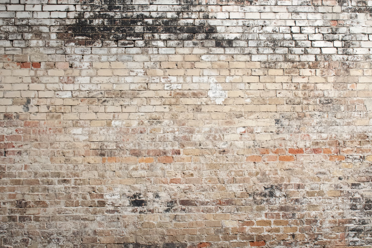 Brick Backdrop Photography Vintage Faded Rustic Wall Brick Backdrop UK TWW59-172