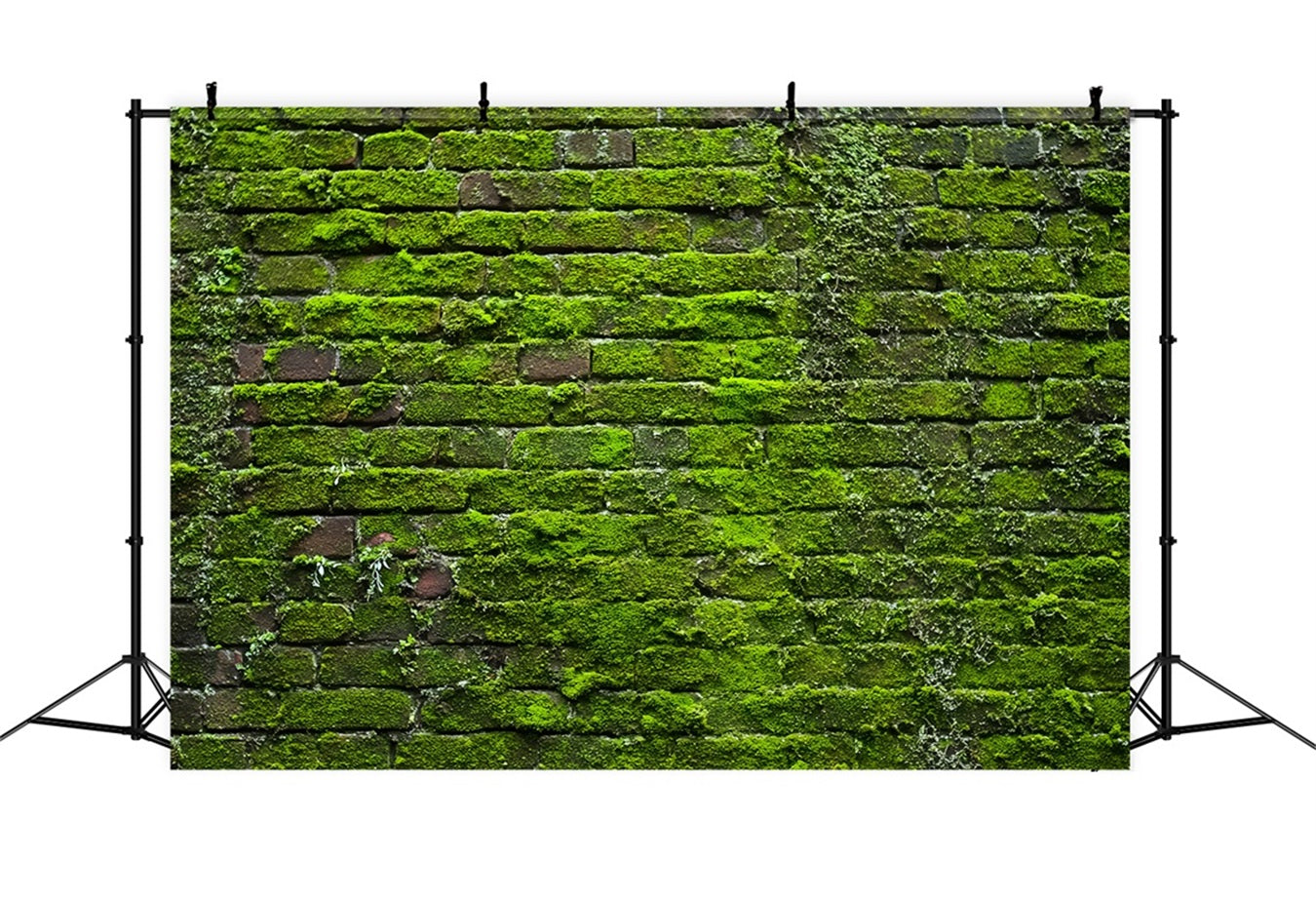 Brick Wall Backdrops Green Moss Vintage Wall Brick Photo Backdrop UK TWW59-185