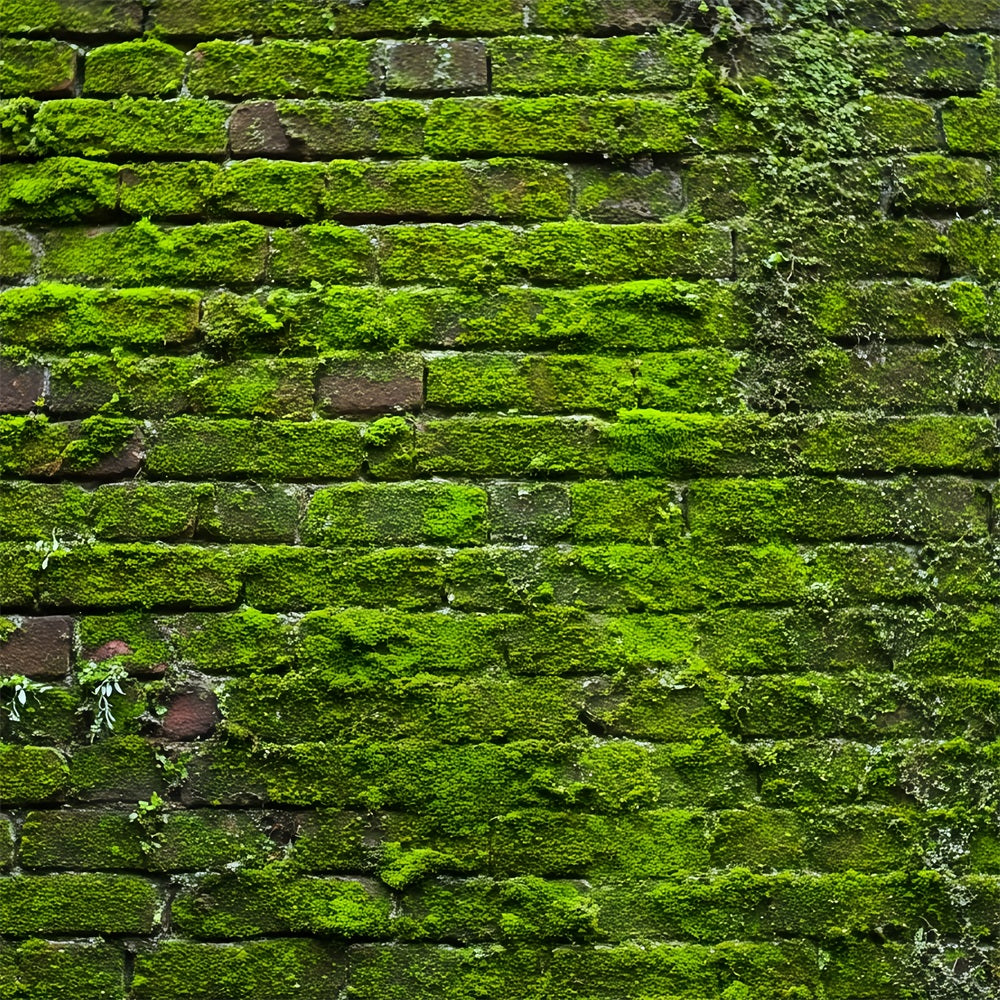 Brick Wall Backdrops Green Moss Vintage Wall Brick Photo Backdrop UK TWW59-185
