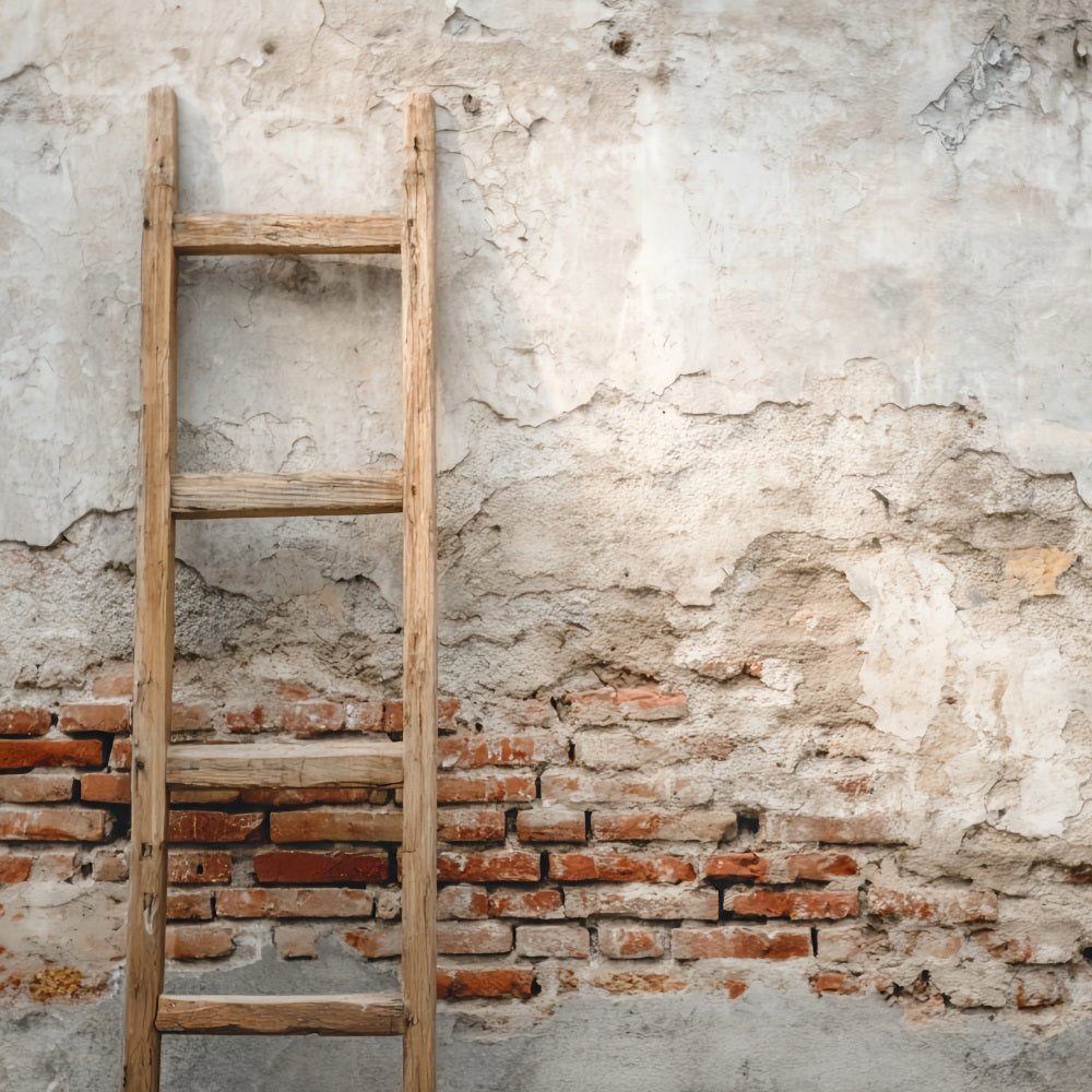 Brick Photography Backdrop Concrete Wall Wood Ladder Brick Backdrop UK TWW59-186