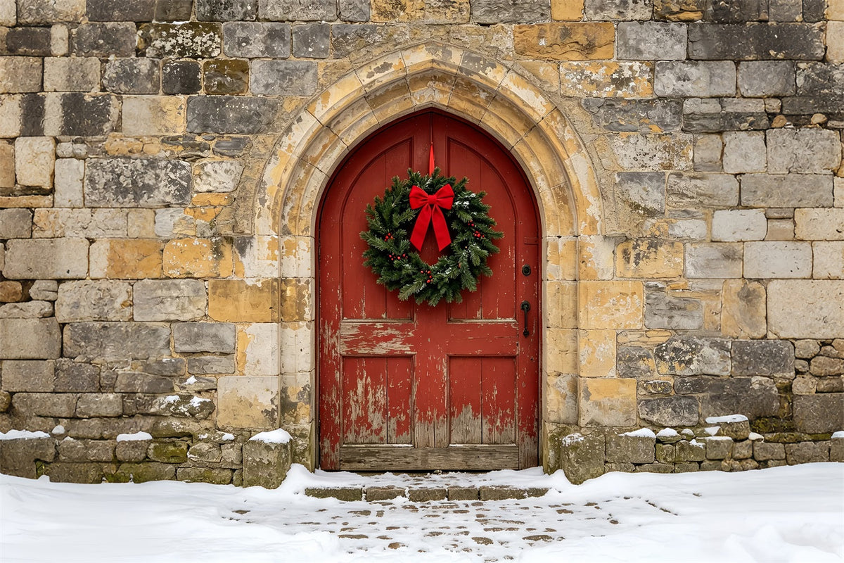 Church Christmas Backdrop Rustic Stone Arch Door Photographic Backdrops ChristmasUK ZTT69-10