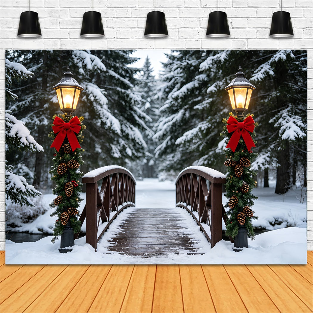 Winter Christmas Backdrop Snowy Bridge Lantern Path Christmas Studio BackdropsUK ZTT69-36