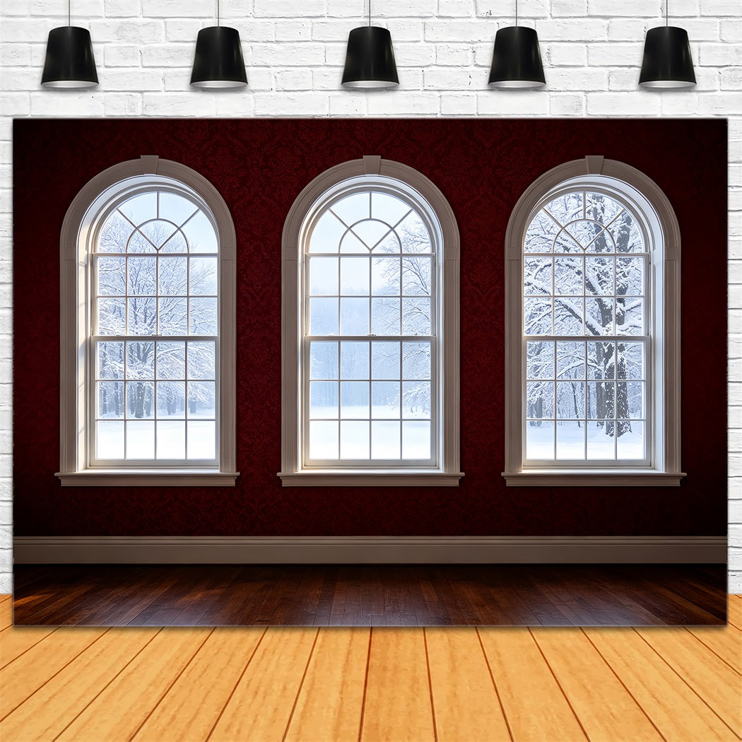 Christmas Room Backdrop Arched Window Winter View Christmas Indoor BackdropUK ZTT69-41