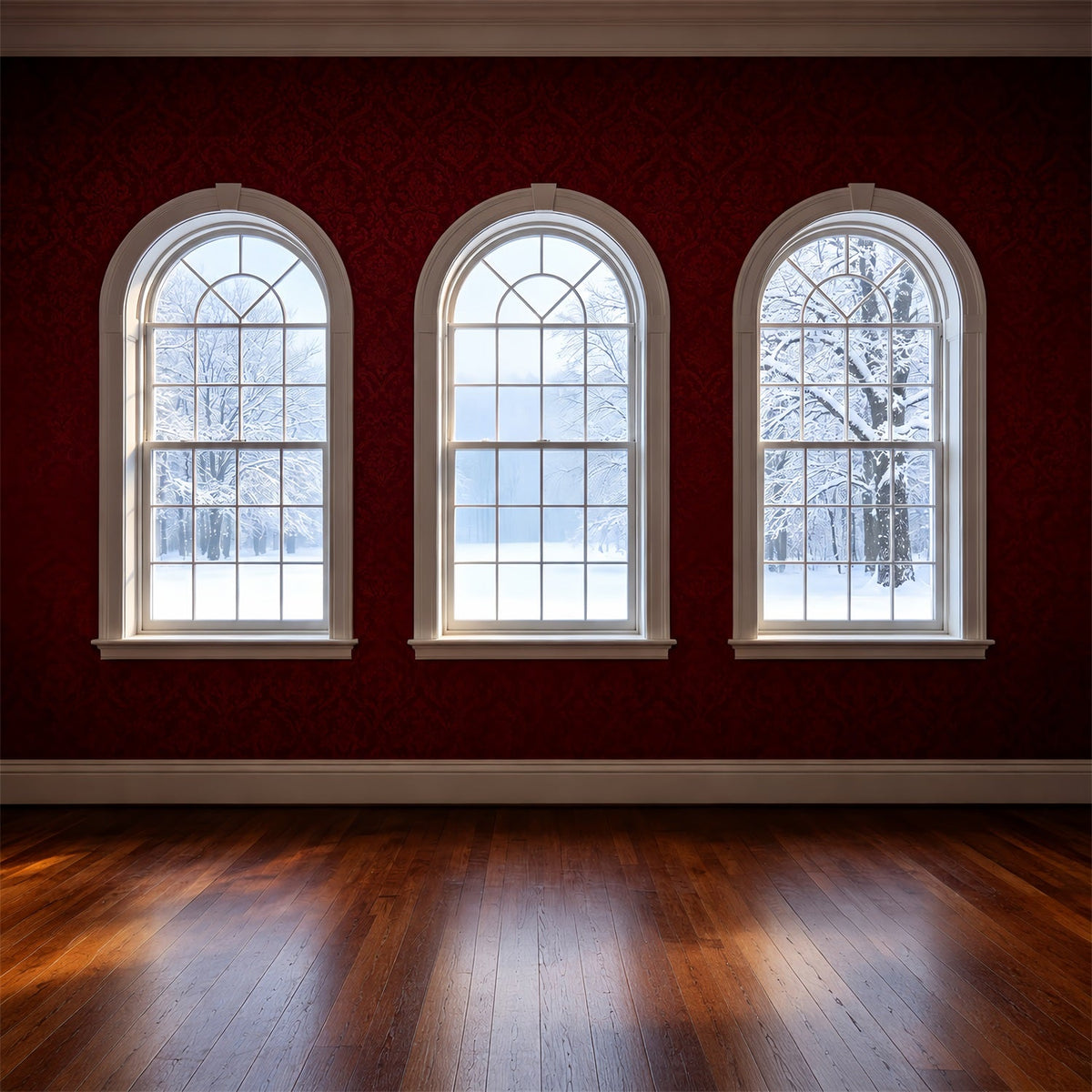 Christmas Room Backdrop Arched Window Winter View Christmas Indoor BackdropUK ZTT69-41