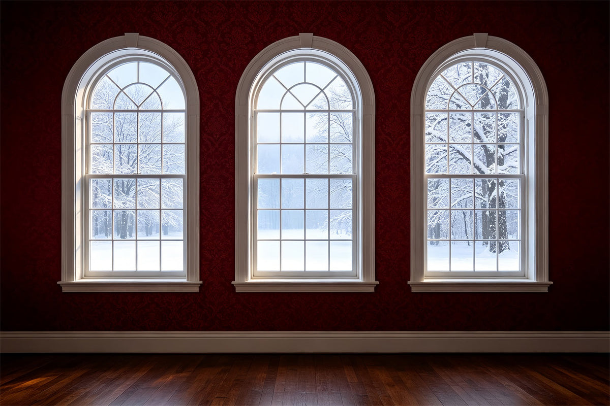 Christmas Room Backdrop Arched Window Winter View Christmas Indoor BackdropUK ZTT69-41