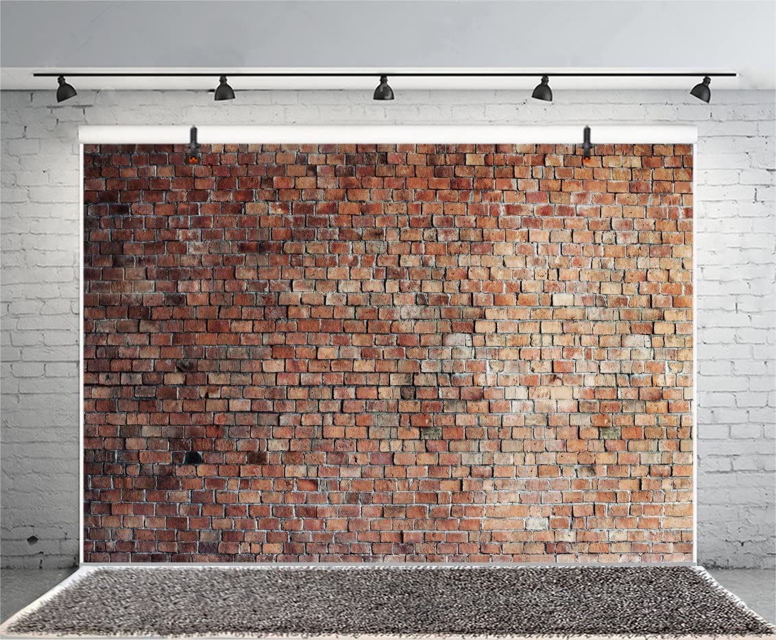 Vintage Red Brick Wall Photo Backdrop  D249-1