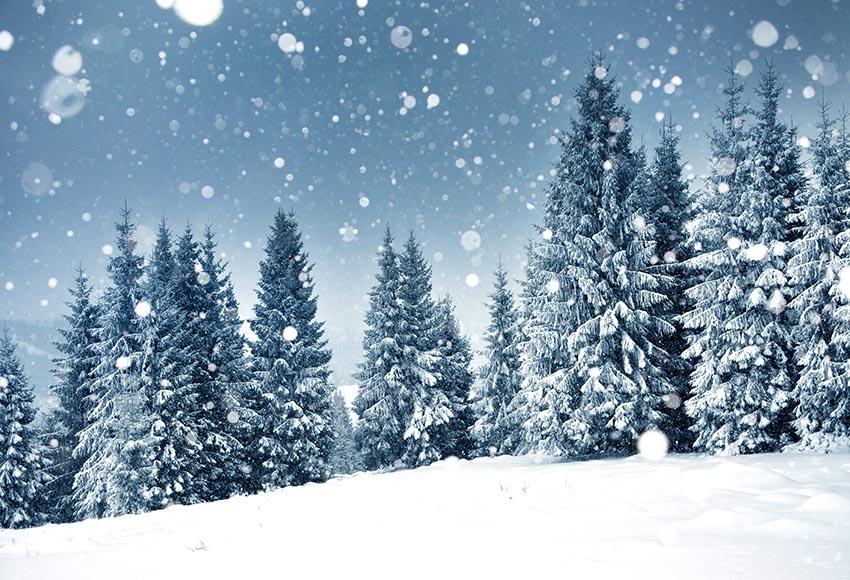 Winter Snow Christmas Trees backdrop UK for Photography GX-1077