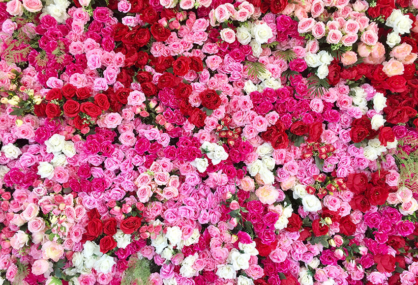 Colorful Roses Backdrop for Wedding Party SH-1017