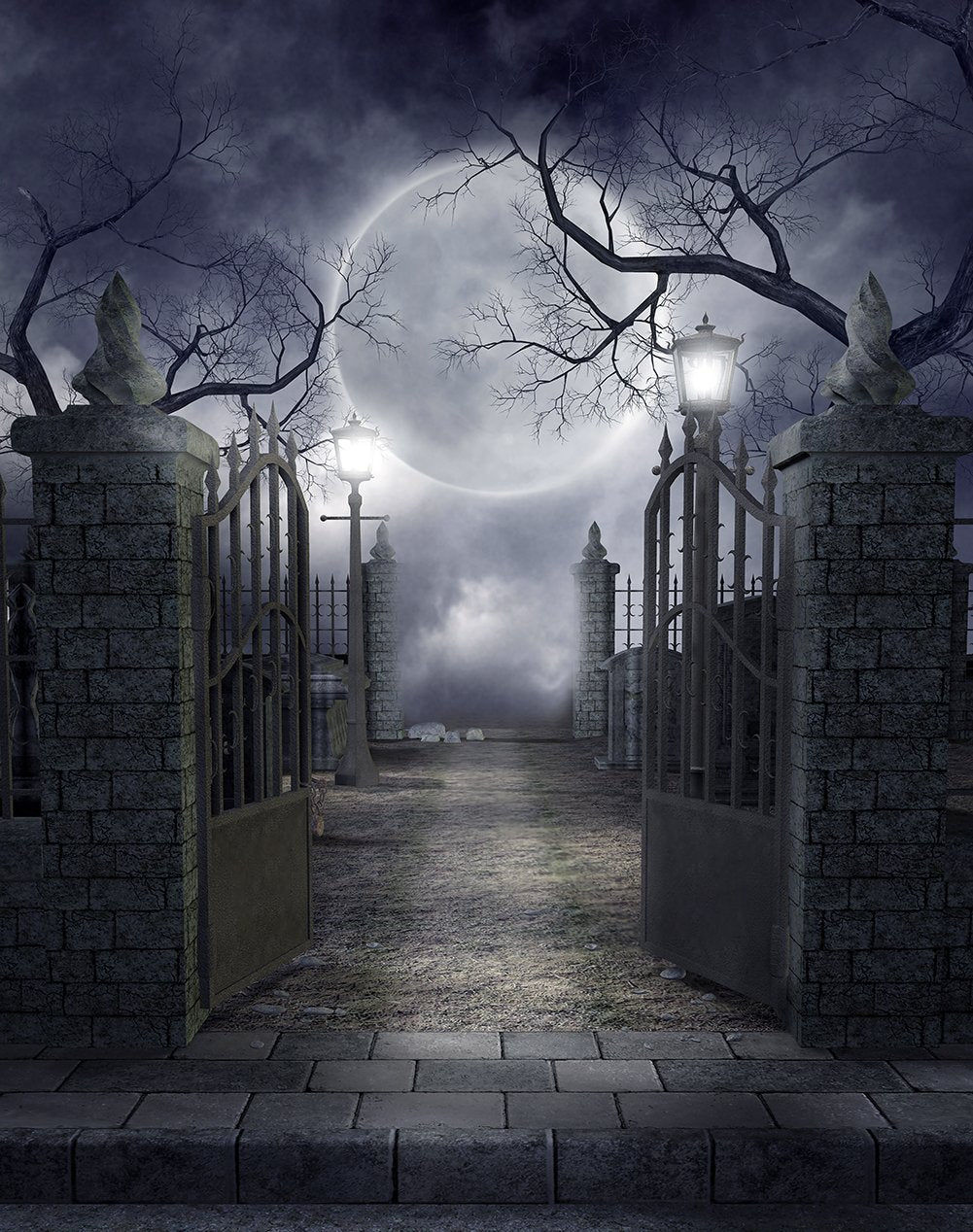 Festival Backdrop UK Halloween Dark Night Background Pale Moonlight DBD-P19074